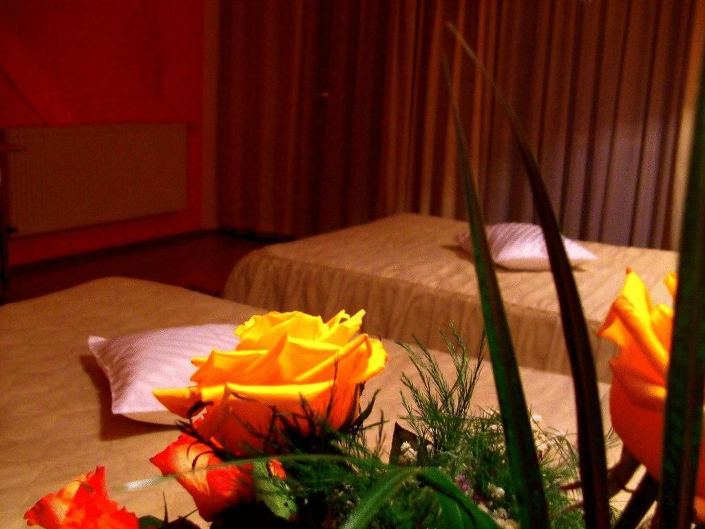 Hotel Ambassador Baia Mare Dış mekan fotoğraf