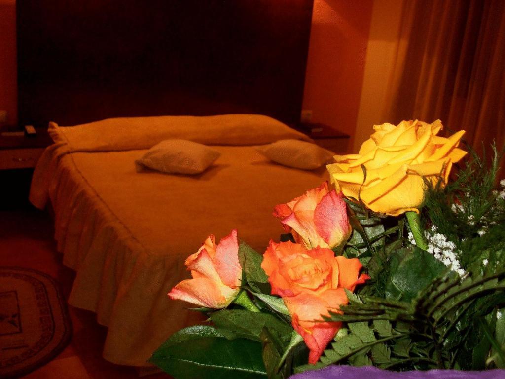 Hotel Ambassador Baia Mare Dış mekan fotoğraf